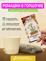 Набор для выращивания "Ромашка"